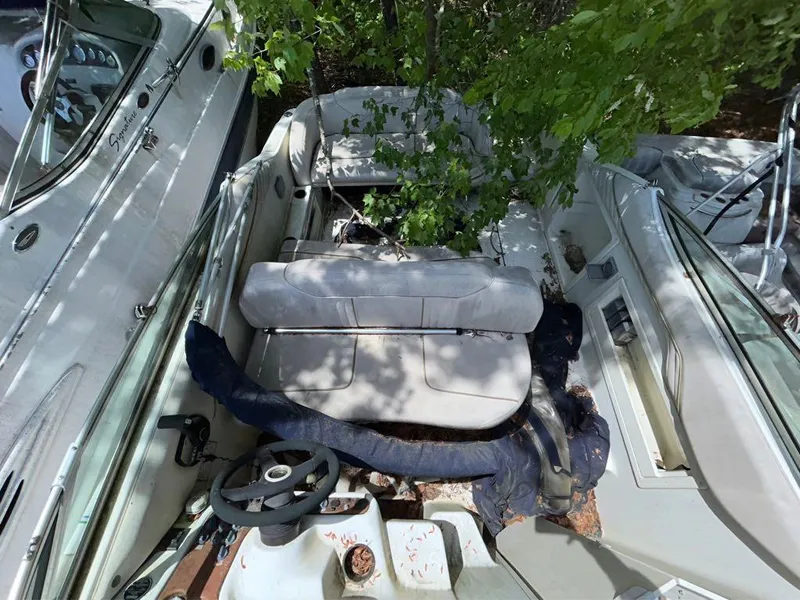 Slide: The Image of 2000 Monterey 242 Cruiser boat interior with tree branches and leaves. - 3