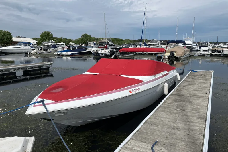 The Image of Cobalt 272 2000 - 0