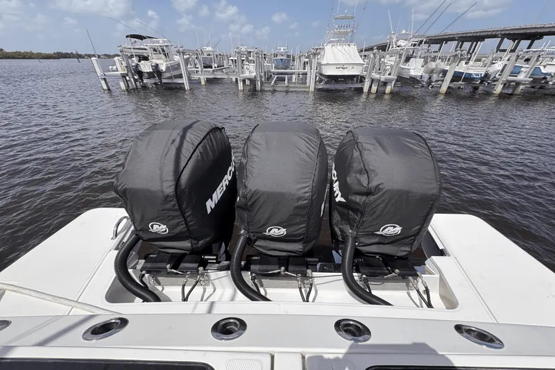 Slide: The Image of Bertram 39CC 2023 - 10