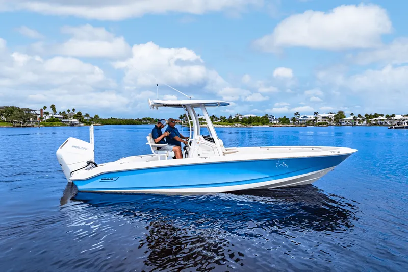 The Image of Boston Whaler 250 Dauntless 2026 - 0