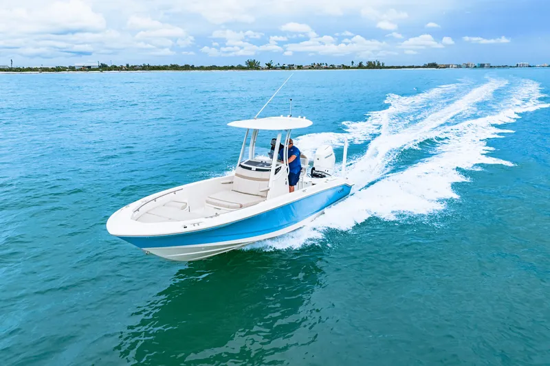 Slide: The Image of Boston Whaler 250 Dauntless 2026 - 10