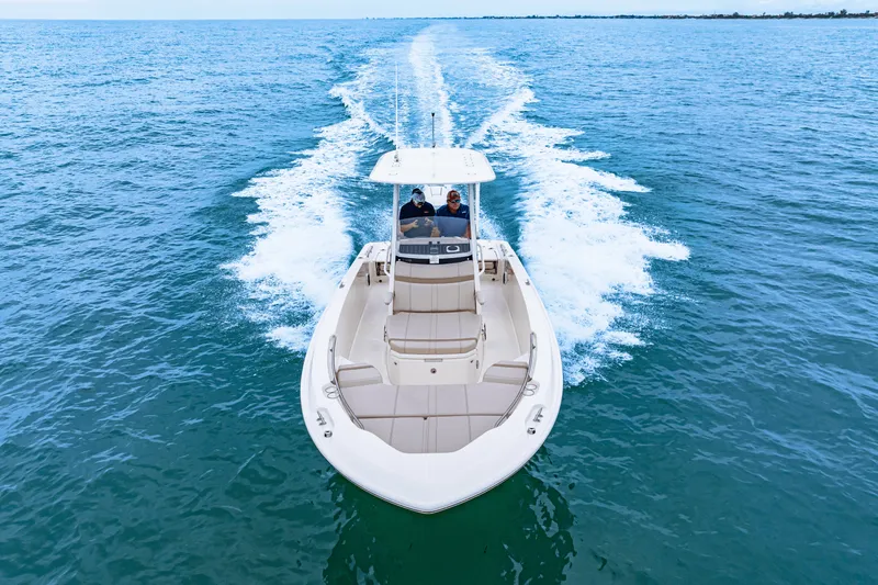 Slide: The Image of Boston Whaler 250 Dauntless 2026 - 11
