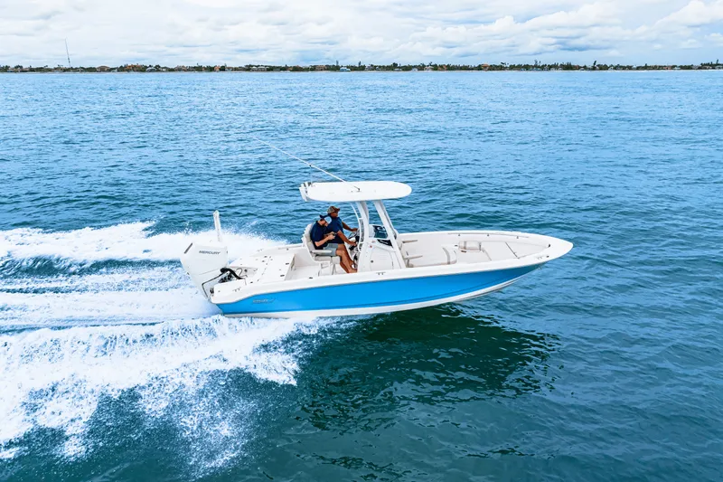 Slide: The Image of Boston Whaler 250 Dauntless 2026 - 13