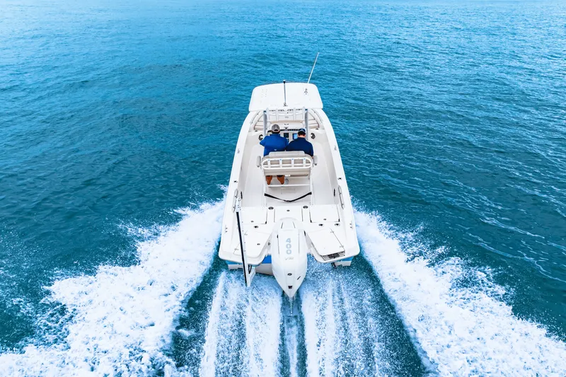 Slide: The Image of Boston Whaler 250 Dauntless 2026 - 15