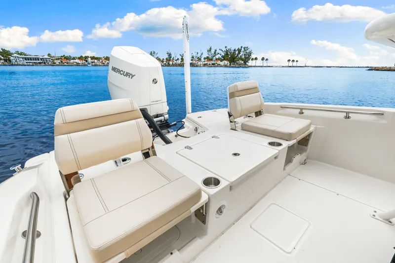 Slide: The Image of Boston Whaler 250 Dauntless 2026 - 17