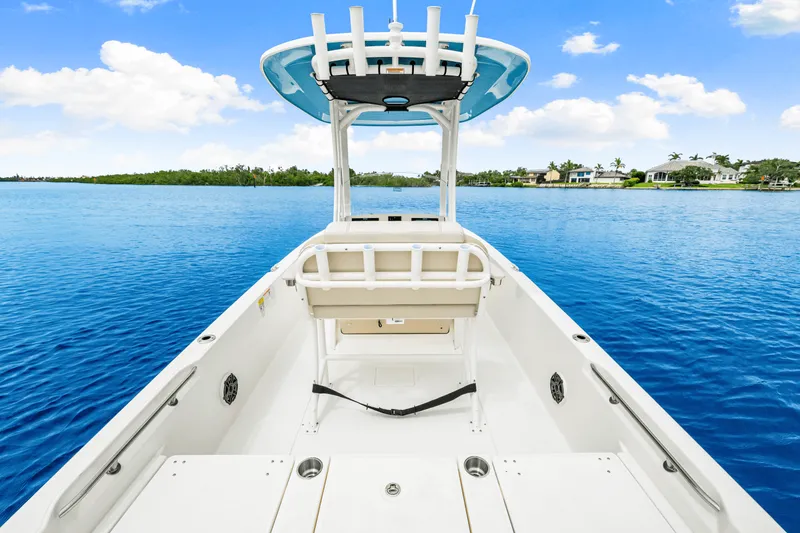 Slide: The Image of Boston Whaler 250 Dauntless 2026 - 18