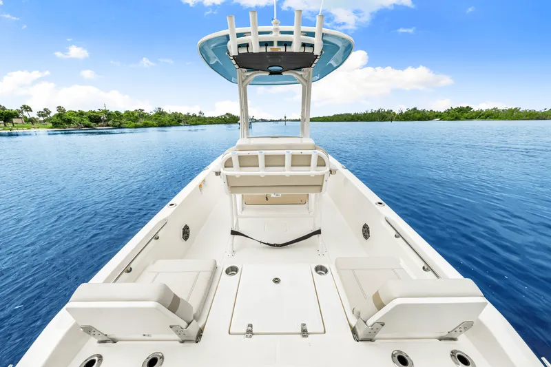 Slide: The Image of Boston Whaler 250 Dauntless 2026 - 19