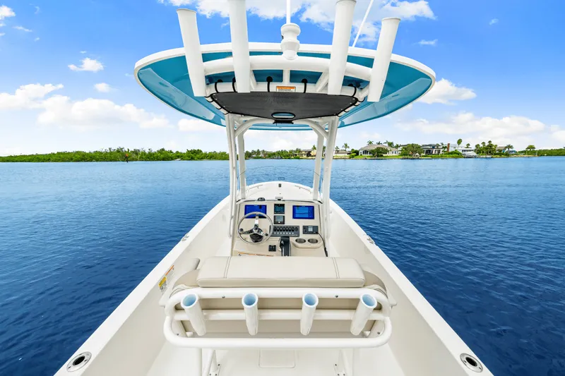 Slide: The Image of Boston Whaler 250 Dauntless 2026 - 20