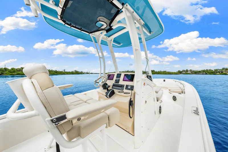 Slide: The Image of Boston Whaler 250 Dauntless 2026 - 22