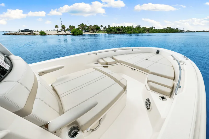 Slide: The Image of Boston Whaler 250 Dauntless 2026 - 26