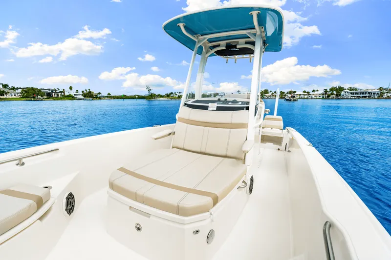 Slide: The Image of Boston Whaler 250 Dauntless 2026 - 27