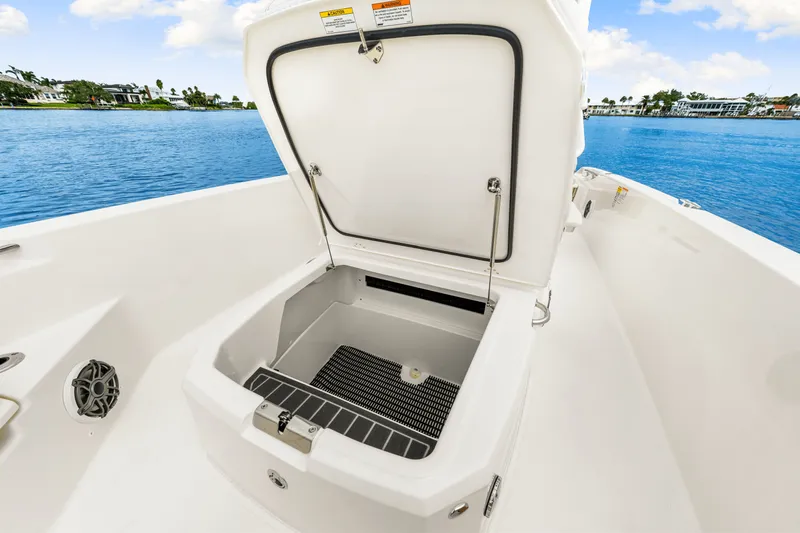 Slide: The Image of Boston Whaler 250 Dauntless 2026 - 28