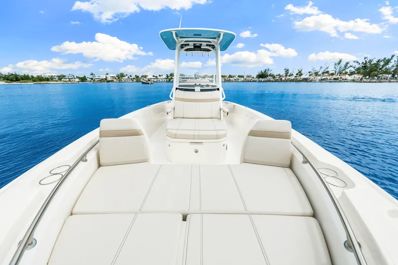 Slide: The Image of Boston Whaler 250 Dauntless 2026 - 30