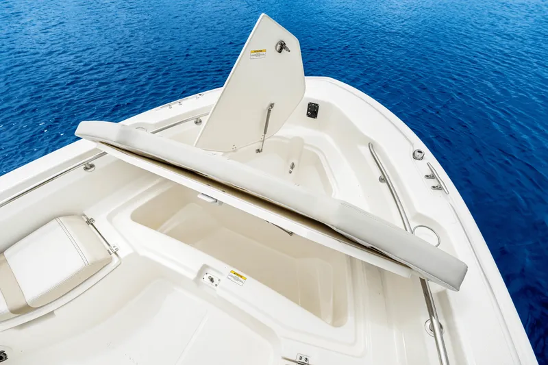 Slide: The Image of Boston Whaler 250 Dauntless 2026 - 31
