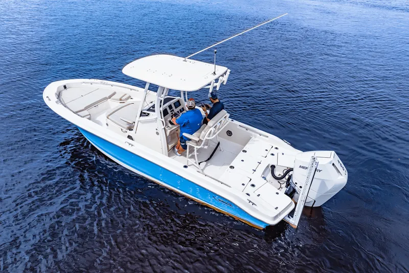 Slide: The Image of Boston Whaler 250 Dauntless 2026 - 4