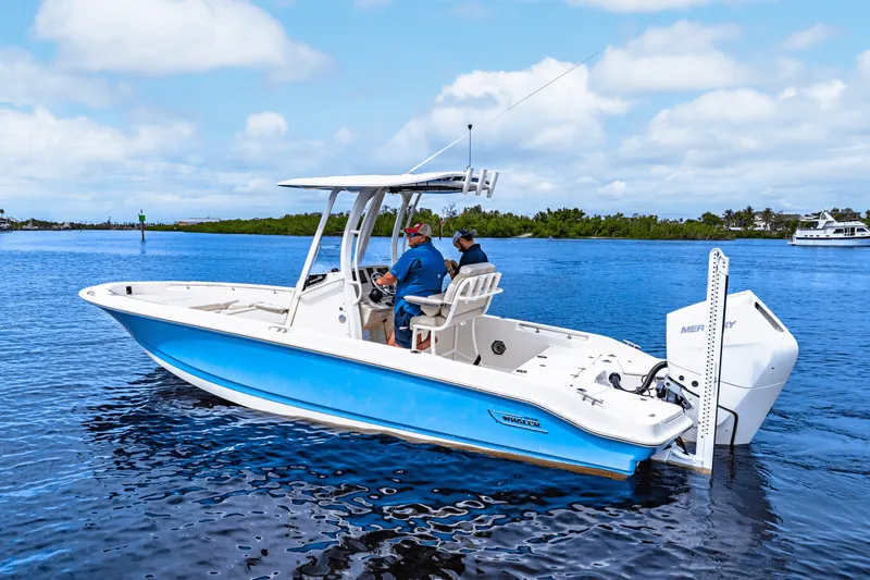Slide: The Image of Boston Whaler 250 Dauntless 2026 - 5