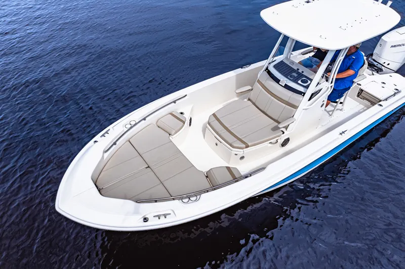 Slide: The Image of Boston Whaler 250 Dauntless 2026 - 7