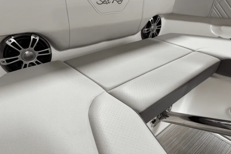 Slide: The Image of Sea Ray 250 SDX 2025 - 102