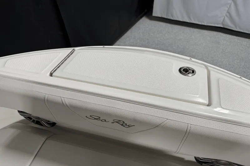 Slide: The Image of Sea Ray 250 SDX 2025 - 108