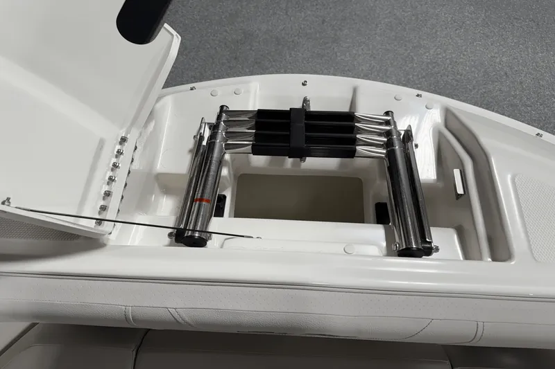 Slide: The Image of Sea Ray 250 SDX 2025 - 109