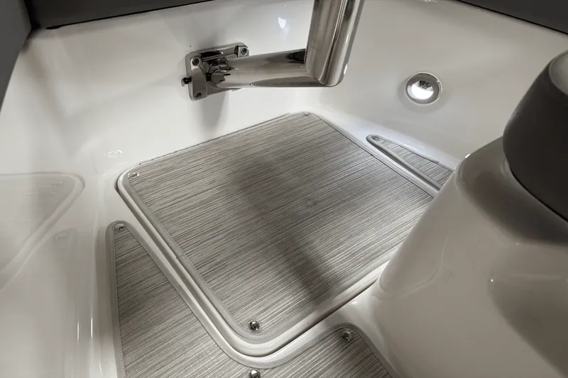 Slide: The Image of Sea Ray 250 SDX 2025 - 113