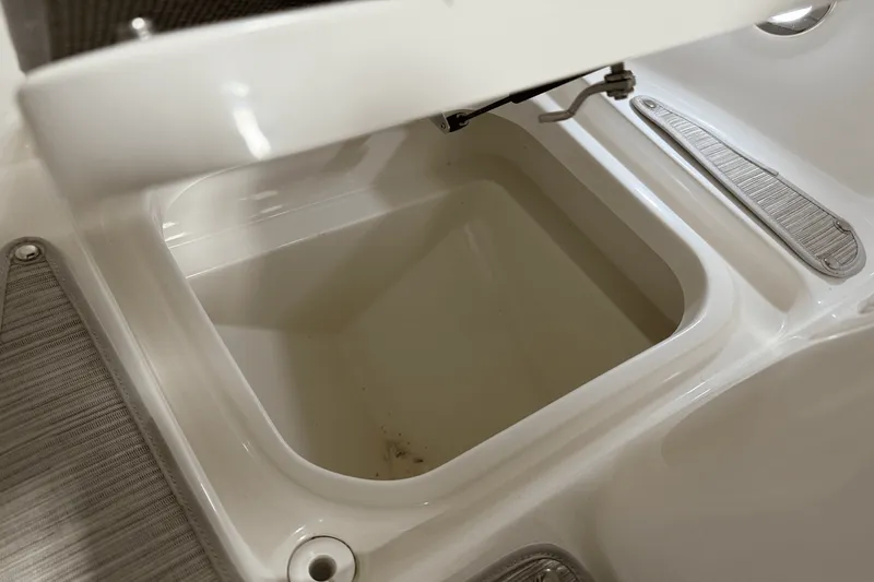 Slide: The Image of Sea Ray 250 SDX 2025 - 114