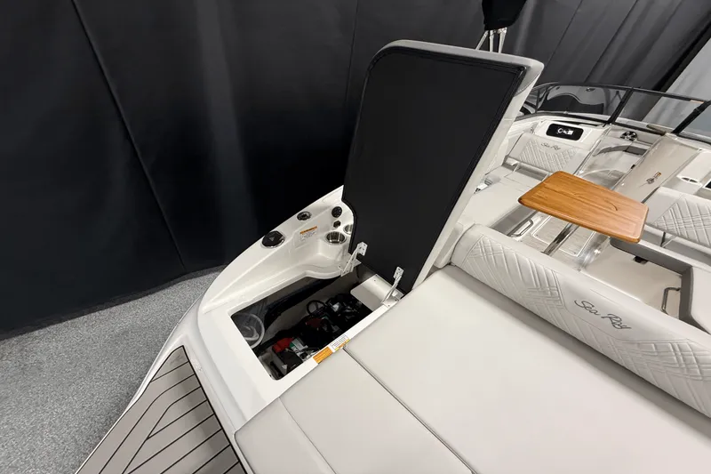 Slide: The Image of Sea Ray 250 SDX 2025 - 33