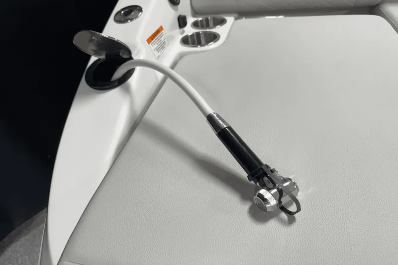 Slide: The Image of Sea Ray 250 SDX 2025 - 40