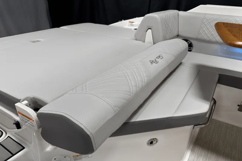 Slide: The Image of Sea Ray 250 SDX 2025 - 44