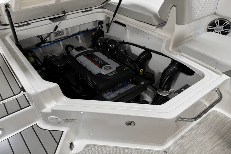 Slide: The Image of Sea Ray 250 SDX 2025 - 46