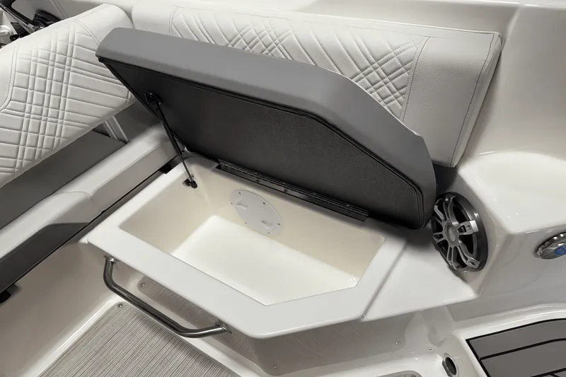 Slide: The Image of Sea Ray 250 SDX 2025 - 58