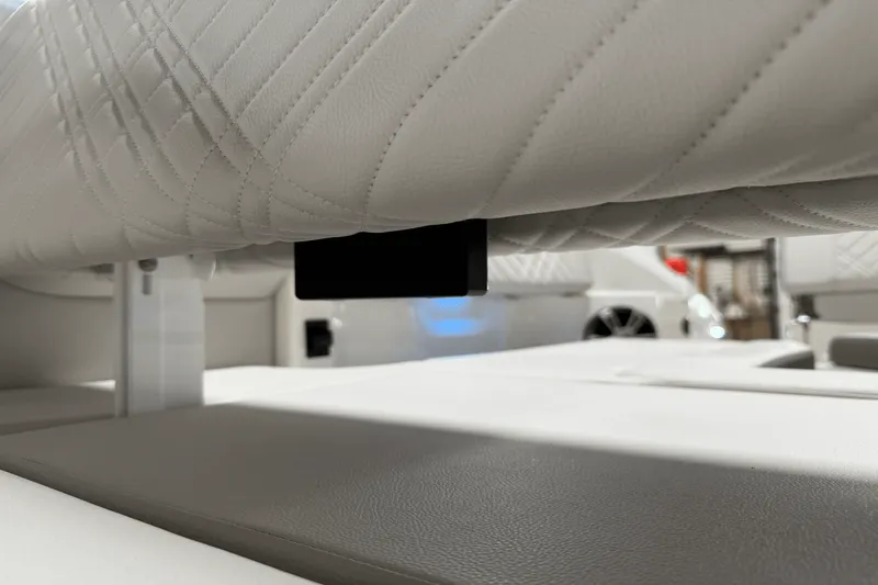 Slide: The Image of Sea Ray 250 SDX 2025 - 63