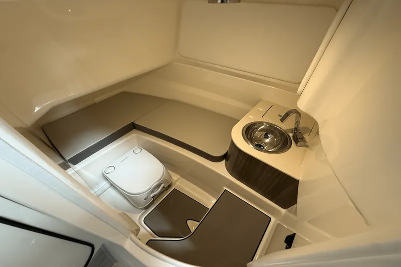 Slide: The Image of Sea Ray 250 SDX 2025 - 80