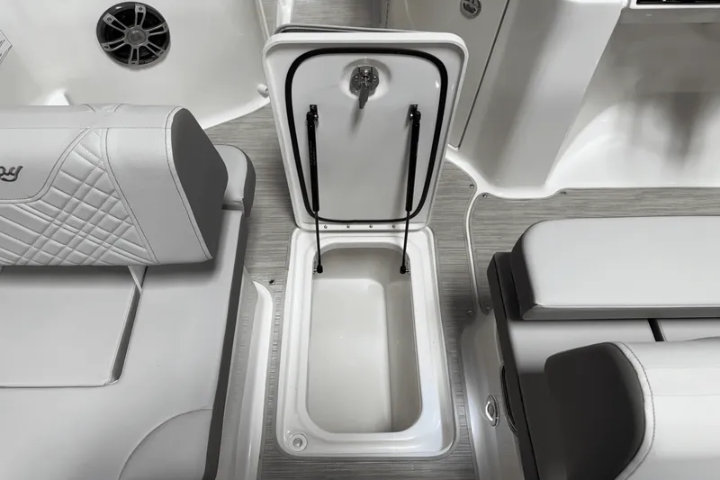 Slide: The Image of Sea Ray 250 SDX 2025 - 84