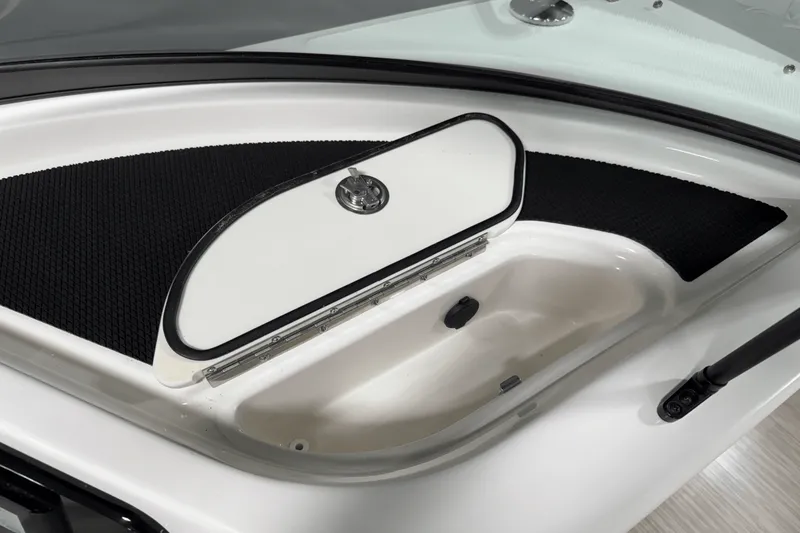 Slide: The Image of Sea Ray 250 SDX 2025 - 91