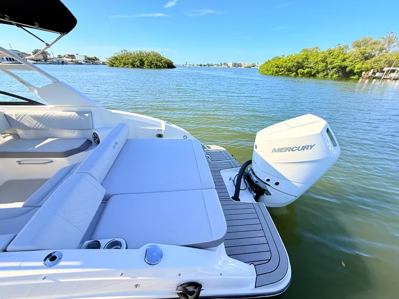 Slide: The Image of Sea Ray SDX 270 Outboard 2027 - 20
