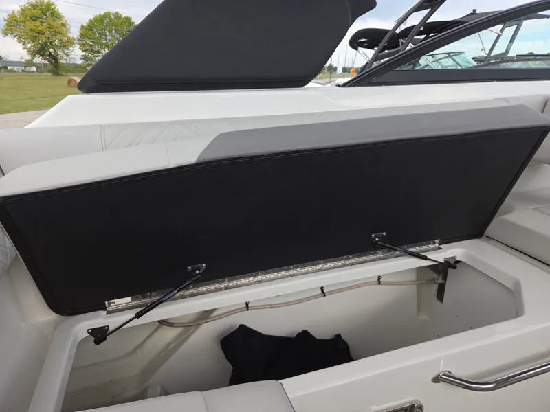 Slide: The Image of Sea Ray SDX 250 2026 - 37