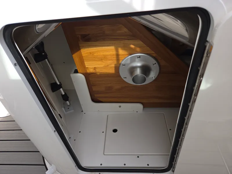 Slide: The Image of Sea Ray SDX 250 2026 - 31