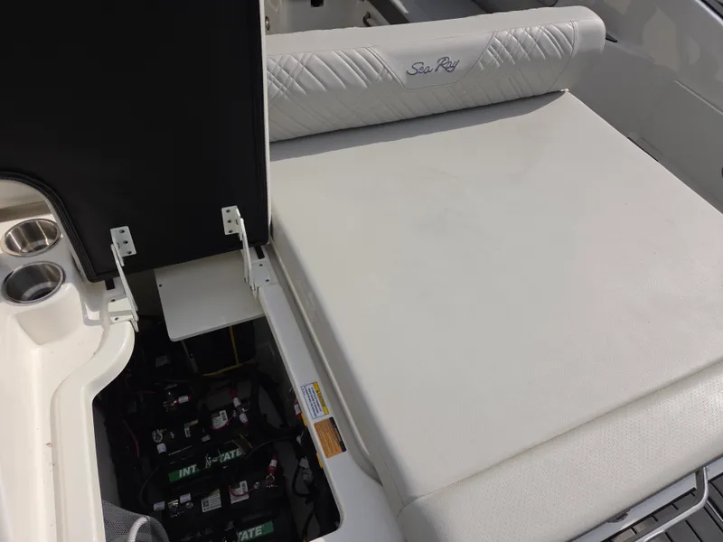 Slide: The Image of Sea Ray SDX 250 2026 - 10