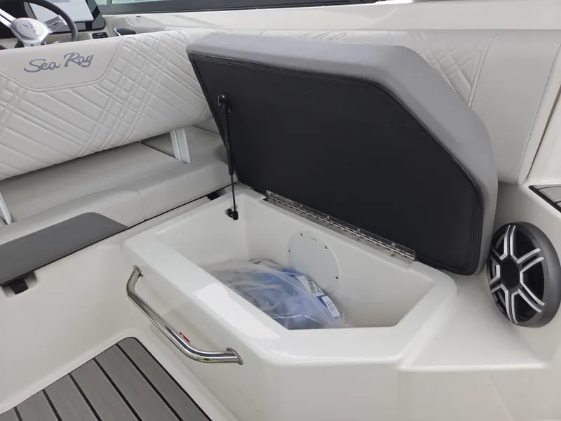 Slide: The Image of Sea Ray SDX 250 2026 - 39