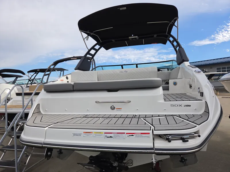 Slide: The Image of Sea Ray SDX 250 2026 - 5