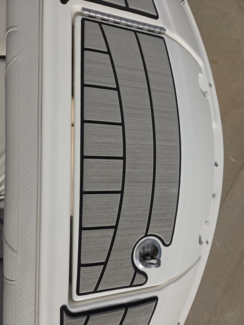 Slide: The Image of Sea Ray SDX 250 2026 - 25
