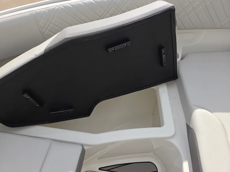 Slide: The Image of Sea Ray SDX 250 2026 - 24