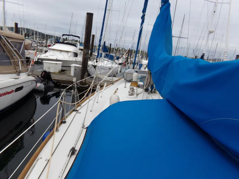 Slide: The Image of C&C 38 1980 - 13