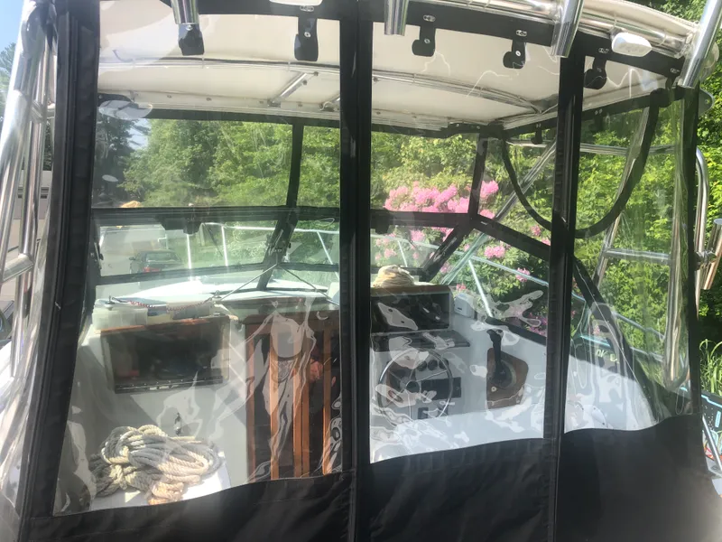 Slide: The Image of Isinglass and canvas  excellent - 8