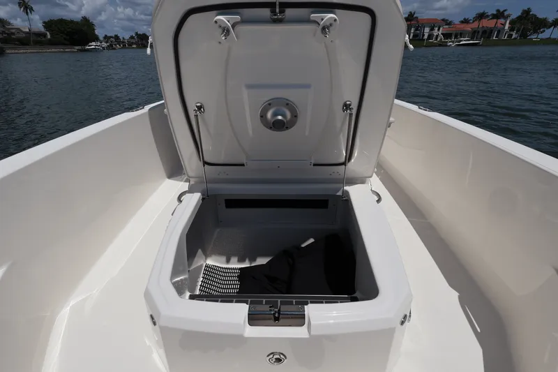 Slide: The Image of Boston Whaler 220 Dauntless 2026 - 19