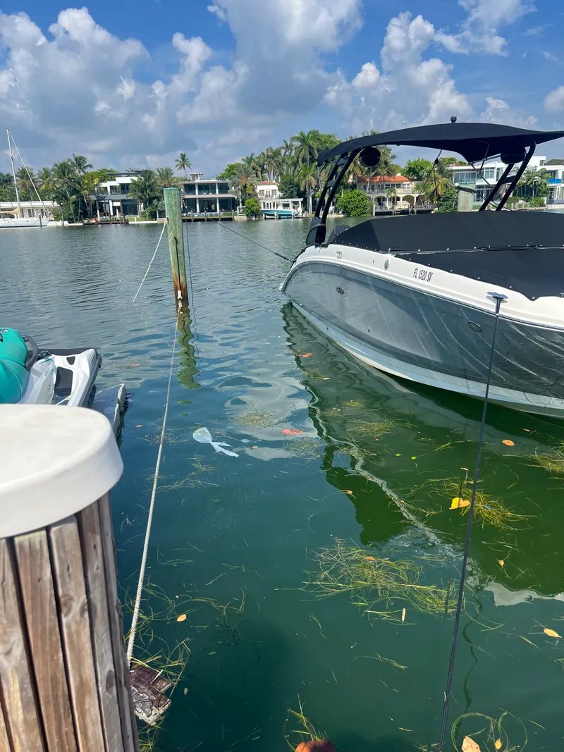 Slide: The Image of Sea Ray 270 SD OB 2021 - 4