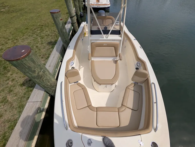 Slide: The Image of Scout 215 XSF 2019 - 20