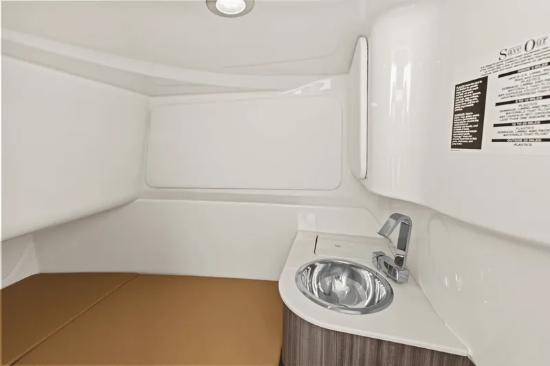 Slide: The Image of Sea Ray SDX 270 Outboard 2025 - 27