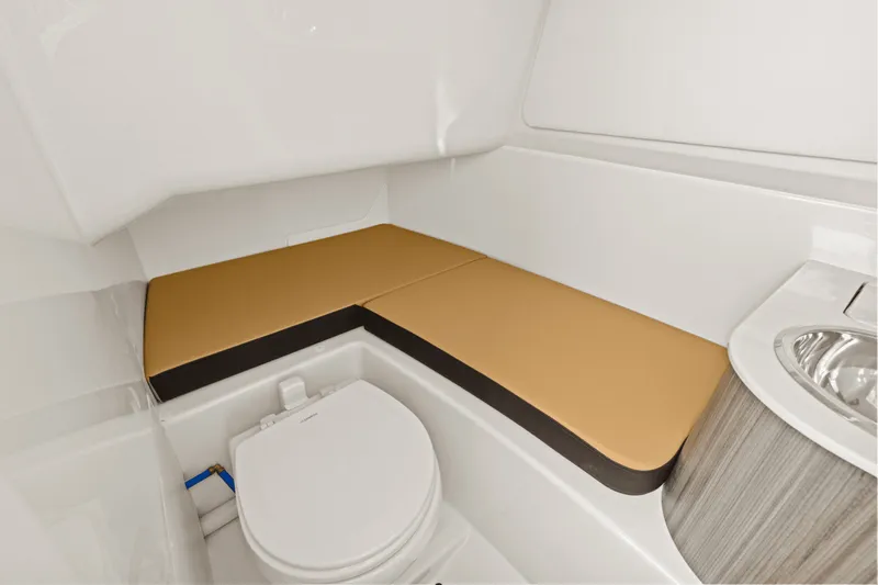 Slide: The Image of Sea Ray SDX 270 Outboard 2025 - 28